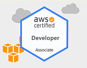 Aws-Developer-Associate-logo